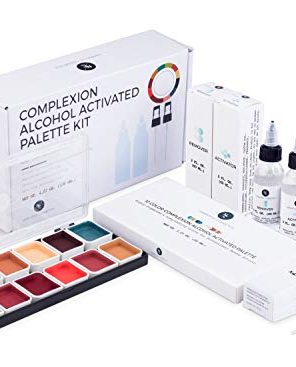 12 Color Complexion Alcohol Activated Makeup Palette Kit