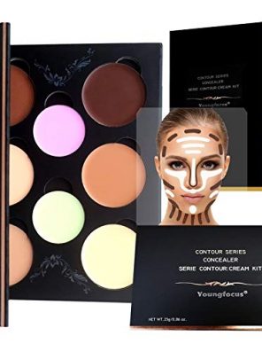 Vegan Hypoallergenic Highlighting Makeup Kit Youngfocus Cosmetics